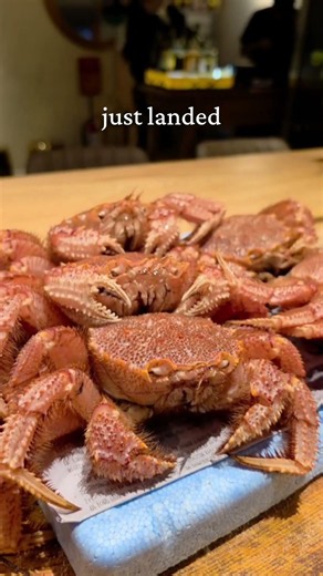 omakase bangkok: ise ebi or kegani first? | yuzu omakase