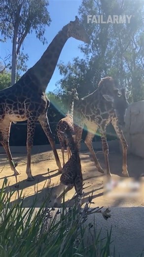 Unexpected fails caught just in time 🤣