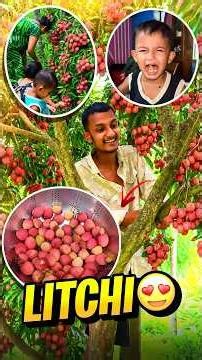 Litchi Mini Vlog 😍 - #minivlog #MiniVlogs #sonuvlogs #shorts #ytshorts #entertainment