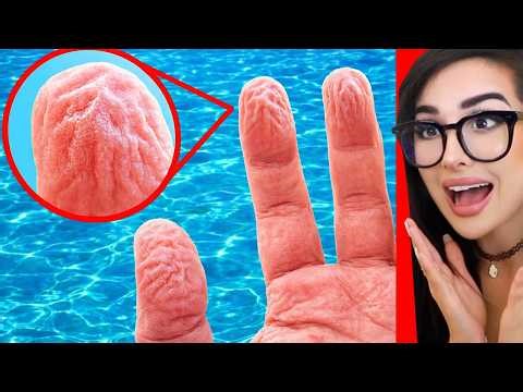 Cool Things I Learned On The Internet