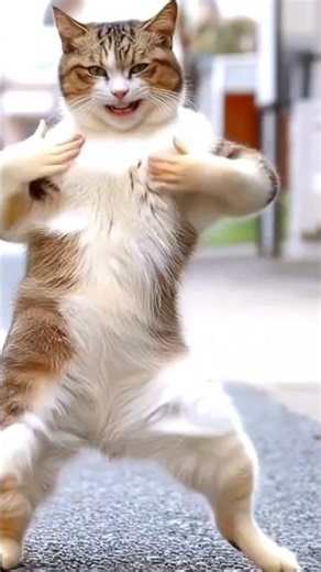 Viral Cats and Dogs Dance (Part2) #dogdance #catdance