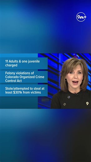 Major crime ring busted