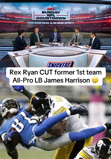 Greeny properly roasted Rex for that 🤣 #NFL #champion #pittsburgh #steelers