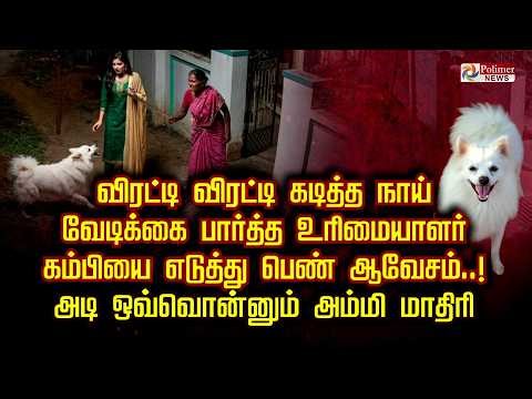 விரட்டி விரட்டி கடித்த நாய்.. வேடிக்கை பார்த்த உரிமையாளர் கம்பியை எடுத்து பெண் ஆவேசம்..