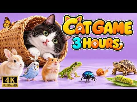 CAT GAMES ON SCREEN - Realistic Fly for Cats | Videos for Cats to Watch (3 Hour)