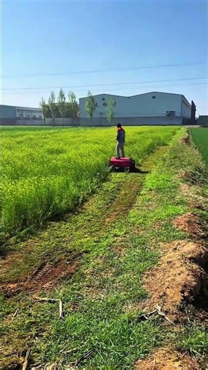 he’s literally surfing on a mower 🤯 #HeavyMachinery