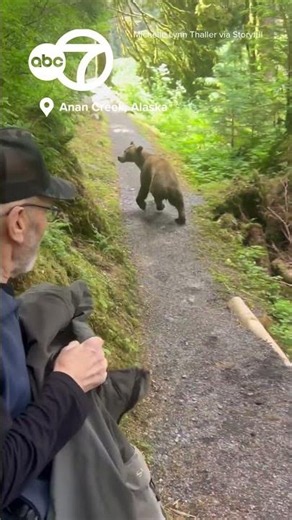 Hikers Stay Calm During Close Encounter With Bear in Alaska