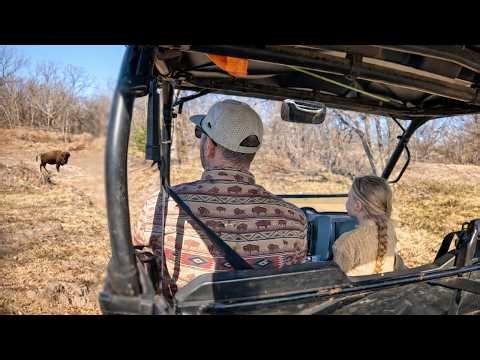 We Went Looking for Some Strays, Found This Instead!