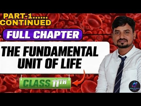 Modes of Heat Transfer 🔥 | JEE Main, Advance & NEET | D.K. Sir | JEE, NEET Physics Part 1 | #live