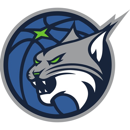 Minnesota Lynx - WNBA Videos and Highlights