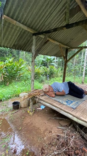 Nature’s Lullaby: Heavy Rain and Jungle Sounds for Sleep #asmr #cabinbliss #rainsounds #camping