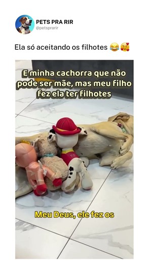 Ela só aceitando os filhotes❤️🥰