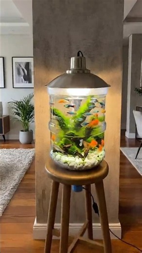 DIY Cool aquarium | DIY Craft Home Decor Item