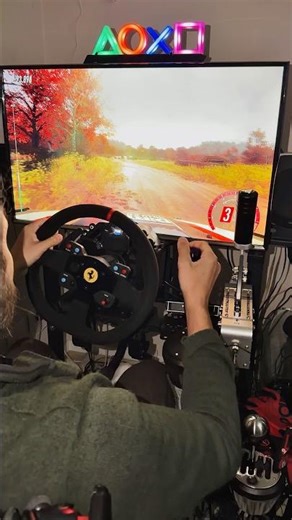 Rally from the hood view 🔥 Can you keep it on the road? #dirtrally2 #simracing #ps5 #thrustmaster