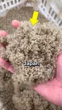 3 Things in Japan that shouldn’t be this Genius 🇯🇵