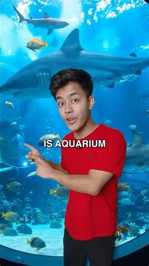 Underwater world, unreal experiences 🌊🐠✨at SeaWorld Abu Dhabi!
