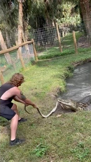 DO NOT Go FISHING around CROCS! #Shorts