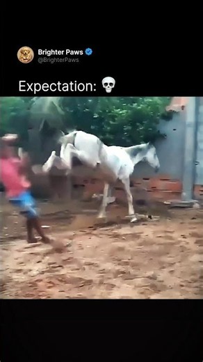 Expectation vs Reality with my horse 🐴