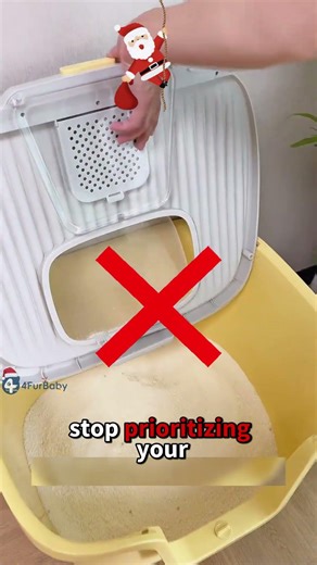 Why Some Cats Refuse Enclosed Litter Boxes 🐱