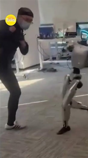 Robot kicks man in the groin | Today Show Australia