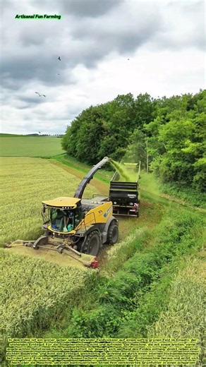 Ein selbstfahrender Häcksler, der einen Anhänger mit frisch geschnittenem Silagefutter befüllt