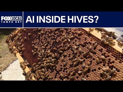 AI beehives deployed in Pasco County to protect local food supply