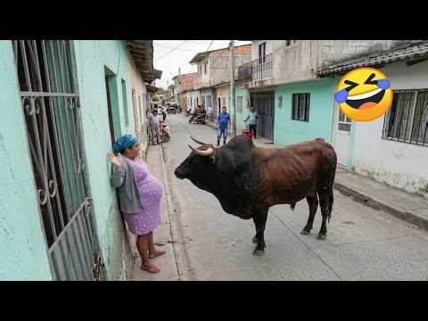 Try Not To Laugh 🤣 Top 100 Funniest Videos Ever | Memes, Epic Fails & Pranks Compilation 2026 Part1