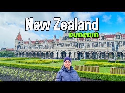 Dunedin Travel Guide | Historic City, Wildlife & Snowy Spring Road Trip