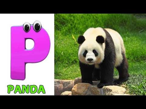 A for Apple Song | Phonics for Kids | ABC Song for Kids | Alphabet Letters