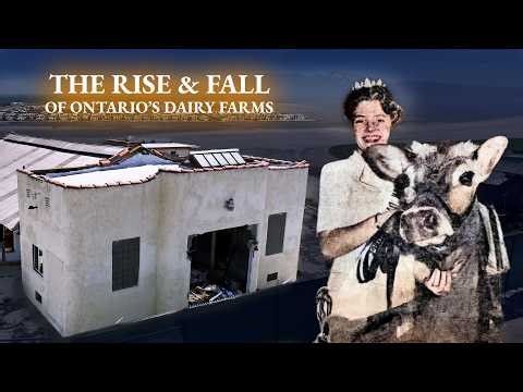 The Rise & Fall of Ontario's Dairy Farms