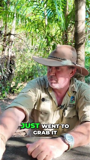 Snake Bite After Showing Off Olive Python #shorts