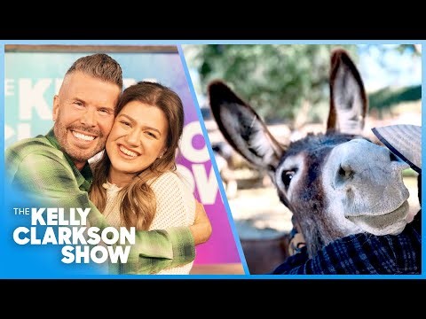Kelly Clarkson Meets The Donkey King