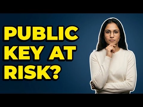 How Do Quantum Computers Attack Public-Key Systems?