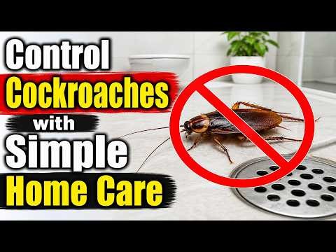 How to Get Rid of Cockroaches in Your Bathroom FAST?🪳