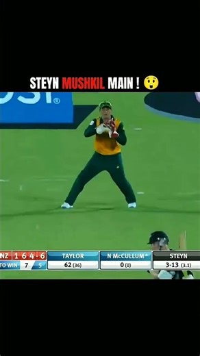 SALE DALE STEYN 😯MOST DANGEROUS IVER VS NEWZEALAND ☠️b