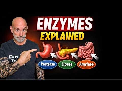 Digestive Enzymes Explained Simply/ How Your Body Breaks Down Food