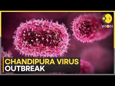 Chandipura Virus: Gujarat Reports 35 Chandipura Virus Cases | WION News