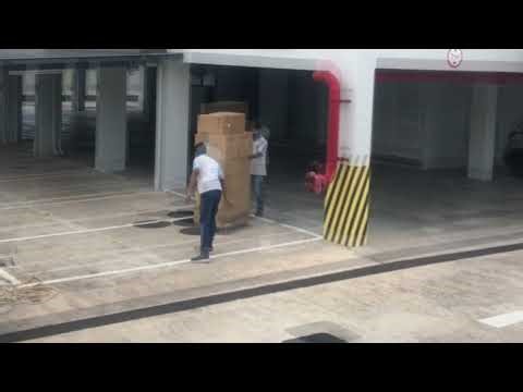 Import Delivery of 1x20ft Container to Residence