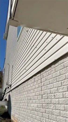 🐝 You Won't Believe How Many Yellowjackets Come Out of This Wall!