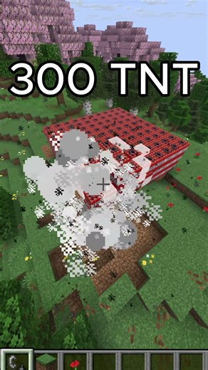 MİNECRAFT 100 TNT TO EXPLODE💥💣