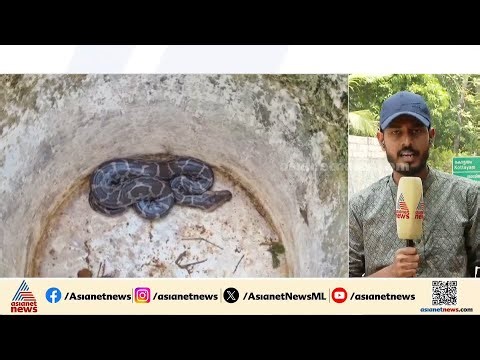 വീട്ടിൽ പെരുമ്പാമ്പിനെ തുടർച്ചയായ മൂന്നാം ദിവസവും കണ്ടെത്തി;സംഭവം പത്തനംതിട്ട കോന്നിയിൽ | Python