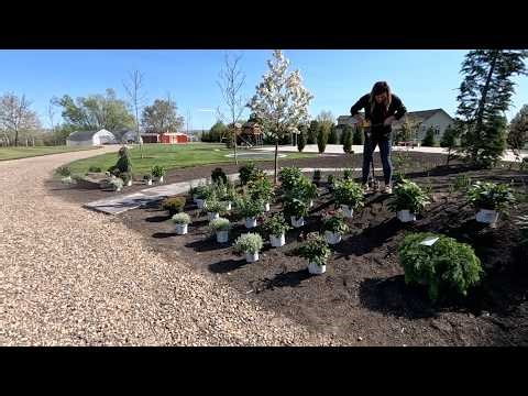 Planting a New Perennial Flower Bed! 😍🌿🌼 // Garden Answer