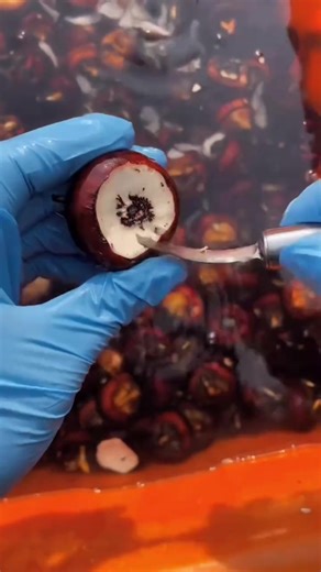 تأثير محمد بن سلمان على التحولات السعودية