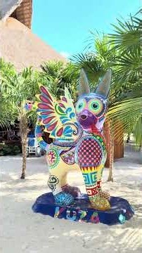 Cozumel Mexico!