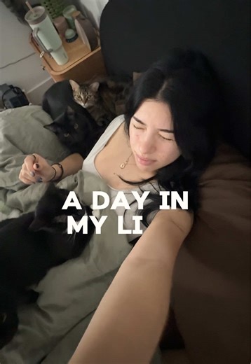 Exploring Vlogs: Should I Do More?