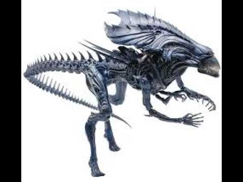 alien fireteam 2026 04 30 21 44 00
