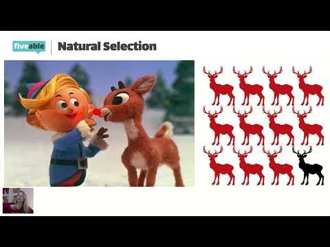 AP Biology - Microevolution & Hardy-Weinberg