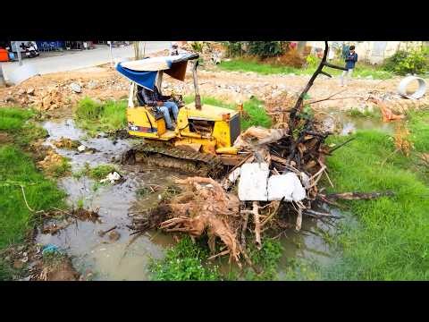Monster Bulldozer Clearing Huge Trees & Debris Dump Trucks Dumping &Moving Soil with Expert Skill!