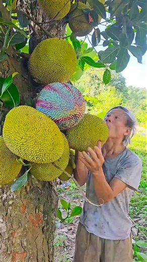 Survival Skills SMART Idea and USEFUL rangin katahal#bushcraft #camping #outdoors #usefulpart69