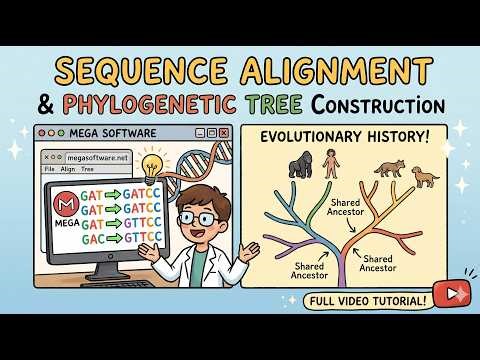 Sequence Alignment and Phylogenetic Analysis using MEGA : Basic Bioinformatics